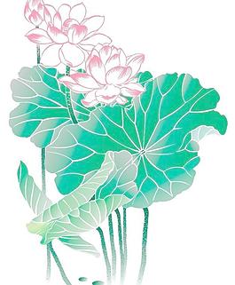 荷花（清雅）圖片