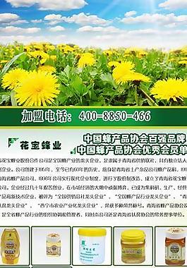 招商海报图片