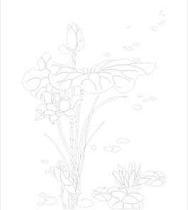 矢量荷花圖片