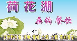 荷花湖图片