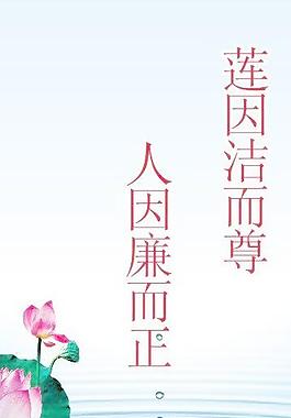 廉政荷花圖片