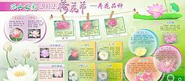 荷花節(jié)圖片