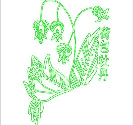 荷花牡丹圖片