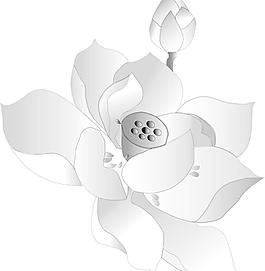 水墨荷花圖片
