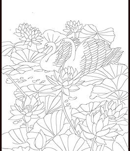 荷花白描圖片