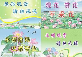 荷花节展板图片