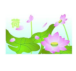 冰清玉洁 荷花图片