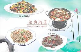 菜圖與荷花圖片
