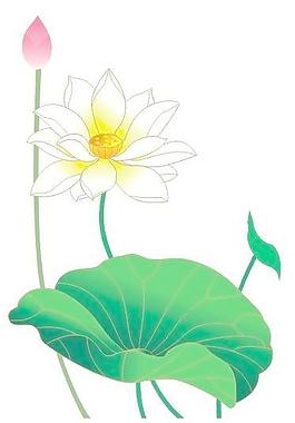 荷花矢量圖圖片