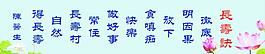 荷花 长寿决图片