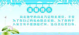 請(qǐng)不要采摘荷花池中的荷花圖片