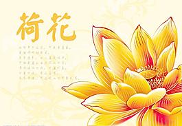 金色的矢量荷花圖片