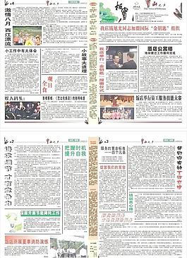 节能灯泡 荷花 荷叶 鱼图片