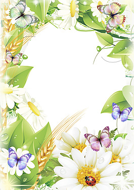 花樣相框圖片