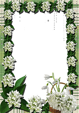 花樣相框圖片