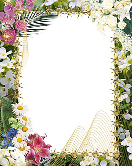 花樣相框圖片