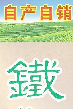 铁观音图片