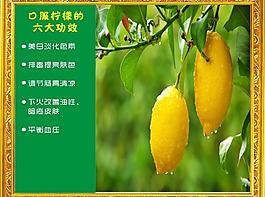 柠檬相框图片