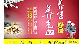 養(yǎng)氣血 養(yǎng)生圖片