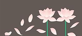 蓮花圖片
