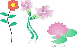 花朵圖片