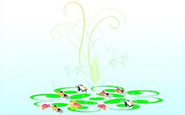 小魚圖片