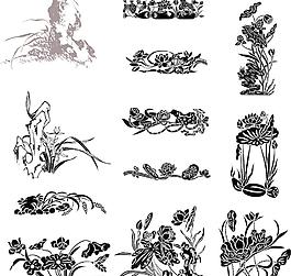 花卉图片