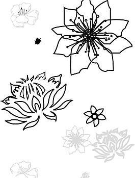 花卉圖片