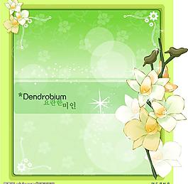 花卉相框圖片