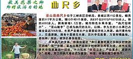 政府宣傳圖片