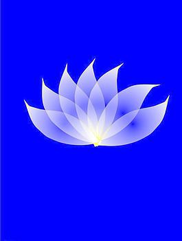 透明效果花圖片