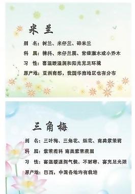 卡片圖片