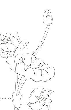 花瓶圖片