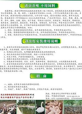 誘蟲燈圖片