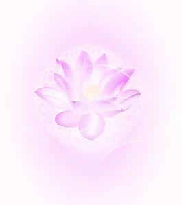 蓮花圖片