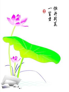 清水芙蓉圖片