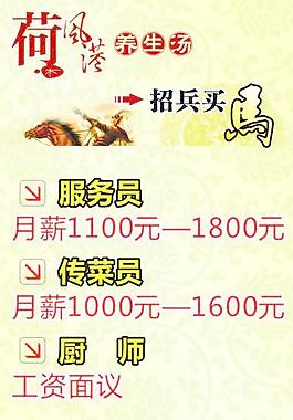 荷風(fēng)港 招聘圖片