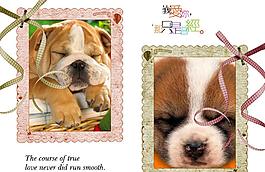 狗狗相框設計圖片