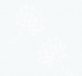 歐式花紋圖片