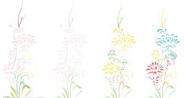 莲花图片
