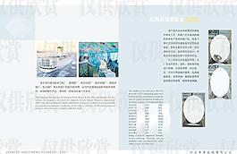 彩色画册 欧式镜子图片