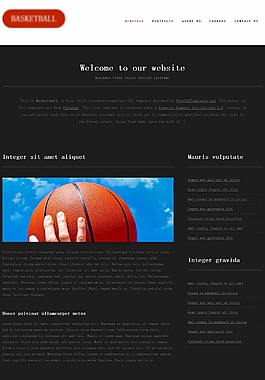 籃球運動信息網(wǎng)頁模板