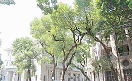 歐式建筑圖片