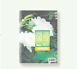 雜志封面圖片