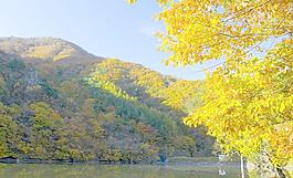 风景画图片