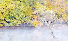 風(fēng)景畫圖片