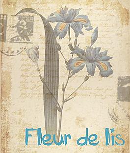 歐式復(fù)古水彩花卉圖片