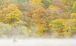 風(fēng)景畫圖片