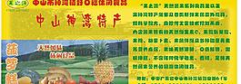 神湾菠萝图片