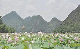 风景画图片